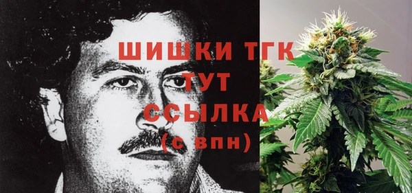 дмт Аркадак